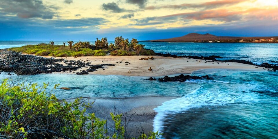 Galapagos-1030x481 Galapagos-1030x481